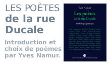 image reprsentant l'annonce de parution du livre Les potes de la rue Ducale